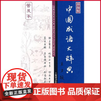 正版 (微瑕疵)中国成语大辞典 王涛 等编著 上海辞书出版社 9787532623167