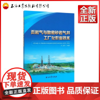 页岩气与致密砂岩气井工厂化作业技术 刘乃震 著