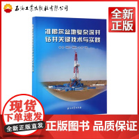 准噶尔盆地复杂深井钻井关键技术与实践 杨虎,杨明合,周鹏高 等 著