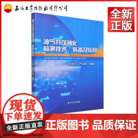 油气井可视化检测技术装备及应用 王尚卫,严正国 编