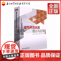 油气井注水泥理论与应用 第二版 屈建省,徐同台,徐璧华,邹建龙,李美平 编