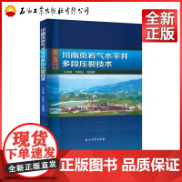 川南页岩气水平井多段压裂技术 王永辉,车明光 编 9787518354962