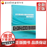 多尺度冻胶分散体深部调驱理论与技术 [Theory and Technology of Multiscale Dispe