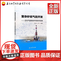 复杂砂岩气田开发--涩北气田高效开发技术实践