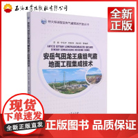 安岳气田龙王庙组气藏地面工程集成技术/特大型碳酸盐岩气藏高效开发丛书 李勇,宁永乔,陈彰兵,颜廷昭 编