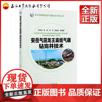 安岳气田龙王庙组气藏钻完井技术/特大型碳酸盐岩气藏高效开发丛书 郑有成,陈刚,李杰,郭建华 编