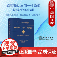 中法图正版 2024新 规范确认与同一性均衡 论国家刑罚的合法性 米夏埃尔帕夫利克 犯罪理论 刑罚研究 刑事法学刑事司法