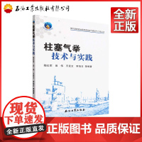 柱塞气举技术与实践 陆红军,田伟 著,陆红军,田伟,王宪文,李旭日 9787518361755