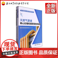 天然气管道离心压缩机组现场检修指南 国家管网集团西部管道公司 编 9787518364756