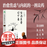 生活需要慢下来 一行禅师 著 万千年轻人追捧的幸福生活哲学 生命节奏的感悟 找到内心的松弛感 探索正念禅修的道路 人生哲