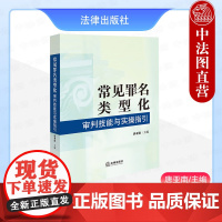 中法图正版 2024新常见罪名类型化审判技能与实操指引 唐亚南 罪名构成要件法律适用证据规则审判流程刑事司法实务 法