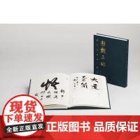 游戏三昧戴小京书法论文辑 亦之编收录书法专著论文创作见解心得戴小京先生生平事迹成长历程 游戏三味论文集上海书画出版社