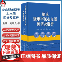 临床疑难罕见心电图图谱及解析 主编史训凡 疑难罕见心电图解读思路和方法 疑难罕见心电图图例 9787571028176湖