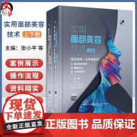 全2册 实用面部美容技术上下册 2本套装 皮肤保养与光声电技术 面部微创与美容手术 注射技术 面部埋线美容提升技术编