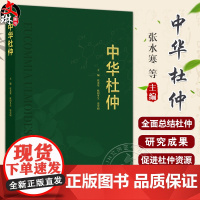 中华杜仲 杜仲的植物学特征 杜仲的栽培工程学研究 杜仲内生菌的鉴定与多样性 主编张水寒 欧阳冬生等人民卫生出版社9787