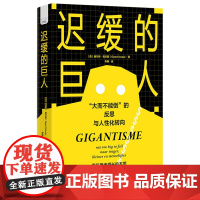 迟缓的巨人 [荷]赫尔特 努尔斯 著 共同构建一个规模适中 增长适度 更注重人性和幸福感的经济体 中国科学技术出版社 新