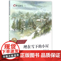 埋在雪下的小屋 7-10岁 中国儿童文学-幻想小说 长江少年儿童出版社 新华正版书籍