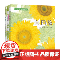 一粒种子的旅程 套装3册 向日葵 牵牛花 蒲公英 金苹果奖 植物 观察 入选亲近母语小学生分级阅读书目 正版童书 爱心