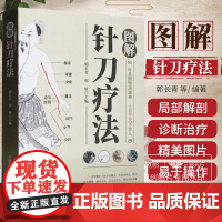 图解针刀疗法 郭长青 大全针刀应用解剖与临床书籍医学诊断与治疗灵枢诠用一针小针刀图解蒙医一本通治病治百病全真刺络放血超微