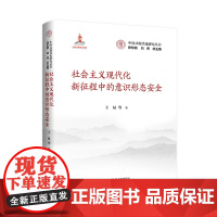 社会主义现代化新征程中的意识形态安全 中国式现代化研究丛书 国家出版基金项目 王易 中国人民大学出版社 9787300