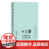 正版 十三邀Ⅱ:你愿意活出什么样的世界 许知远对话王笛 彭凯平刘擎 张双南吴国盛 鲁白胡润罗翔人物访谈书籍 广西师范大