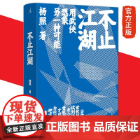 不止江湖 用武侠想象另一种可能 杨照 著 理想国正版 杨照老师沉潜多年的用心之作 理解和读懂金庸武侠小说的指南书籍