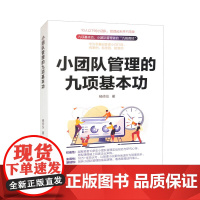 正版 小团队管理的九项基本功 杨帅仪 著 电子工业出版社