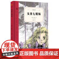 女巫七姐妹(奇想文库)精装 一场令人动容的魔法大冒险,带你领悟生命中质朴而伟大的亲情