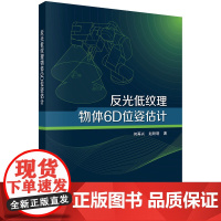 正版全新 平装 反光低纹理物体6D位姿估计 何再兴 科学出版社 9787030796769