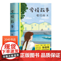 爱情故事 张佳玮 桃花源式爱情故事 2040书店