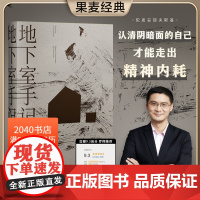 地下室手记 陀思妥耶夫斯基 罗翔 地下室人 自我与人性 高口碑译文 俄国文学 世界名著 2040书店