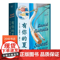 有你的夏天 大卫·尼克斯 抒写少年的甜蜜忧伤 青涩爱情故事 外国文学小说 2040书店