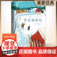 苦儿流浪记 埃克多·马洛 全译本 教会孩子直面苦难 世界儿童文学经典 学生课外读物 儿童文学 果麦出品