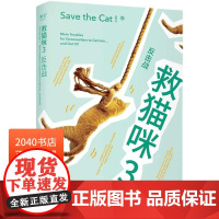 救猫咪3:反击战 布莱克·斯奈德 救猫咪系列完结篇 经典编剧实战秘籍 打造剧本 影视专业书单 小说文案写作 2040