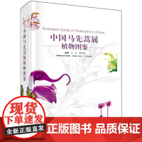 正版全新 精装 中国马先蒿属植物图鉴 王红 科学出版社 9787030788214