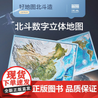 共2张中国和世界地形图 3d立体凹凸地图挂图北斗地图约58*43cm卫星遥感影像浮雕三维图 中小学生地理学习家用墙贴 北