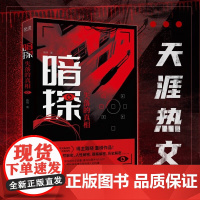 暗探:失落的真相(天涯神文,资深记者离奇故事,系列作品高分!)