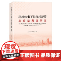 环境约束下长江经济带高质量发展研究 何雄浪 王诗语 著 区域经济 中国经济出版社 正版书籍