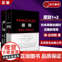 [正版]套装2册 原则1+2 principles 瑞达利欧著 对未来做出相对正确的预测 为人生决策下注 中信出版社