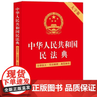 中华人民共和国民法典(法律条文.司法解释.典型案例)(2版)(大字版)9787519776169 法律出版社法