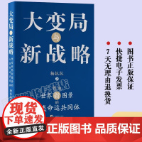 正版 大变局与新战略:作为世界新图景的人类命运共同体 杨抗抗 中央编译出版社