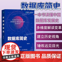 2024重磅新作[出版社店]数据库简史 盖国强著 大模型大数据互联网云计算Oracle国产数据库 97871156386