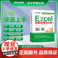 excel函数与公式应用大全 Excel数据处理与分析入门到精通 电脑办公软件教程基础书电子表格制作wordexcel