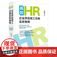 正版2025新书 高效HR:企业劳动用工合规实务指南 谢炳城著 法律出版社 公司法务hr行政劳动合同劳动法合同法争议律师