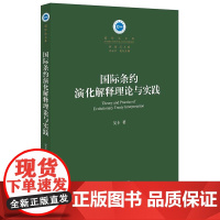 正版新书 国际条约演化解释理论与实践 吴卡 著 法律出版社 律师法律实务图书籍