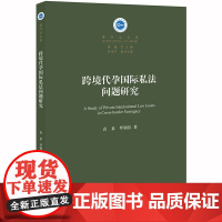 正版新书 袁泉 罗颖仪著 法律出版社 律师法律实务图书籍