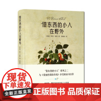 借东西的小人在野外(“借东西的小人”系列之二,与《爱丽丝漫游奇境》齐名,精装全彩印制)译林出版社