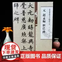 元赵孟頫胆巴碑 经典碑帖笔法临析大全 赵孟俯赵体楷书临摹临慕练习字帖字体间架结构技法精讲 成人大人毛笔软笔书法基础入门教