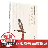 字里行间 北刘动物标本[京版北美]9787559204332