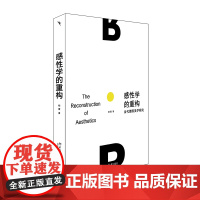 感性学的重构 当代德国美学研究 杨震 研究当代德国美学 探讨当代感性学新问题 当代艺术 自然美学 哲学现象 北京大学店正